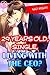 29 years old, Single, Living with the CEO? Vol.4 (TL Manga)
