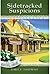Sidetracked Suspicions (Secrets of the Blue Hill Library, #18)