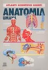 Anatomia umana
