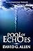 Pool of Echoes: An Inspirational Thriller