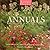 Annuals: Yearly Classics fo...