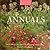 Annuals: Yearly Classics for the Contemporary Garden