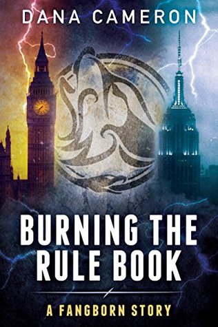 Burning the Rule Book (Kindle Edition)