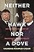 Neither a Hawk nor a Dove : An Insider’s Account Of Pakistan’s Foreign Policy