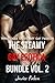 The Steamy Gay Erotica Bundle Vol. 2 (3 Story Bundle)
