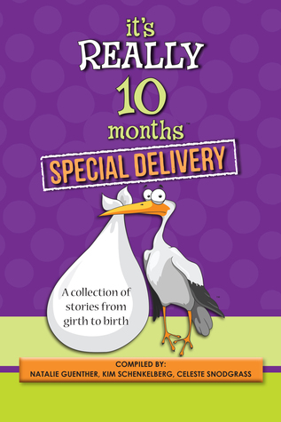 It's Really 10 Months Special Delivery: A Collection of Stories from Girth to Birth (Paperback)