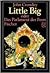 Little Big oder das Parlament der Feen