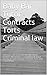 Baby Bar Tutor - Contracts Torts Criminal law e-book by Ijoma Jideofo S. Obi