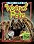 Weird Pets (Reading Rocks!)
