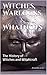 Witches, Warlocks & Whatnots: The History of Witches and Witchcraft (True Apparitions Book 14)