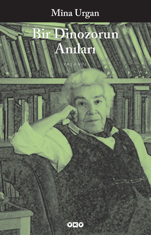 Bir Dinozorun Anıları kitap kapağı