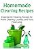Homemade Cleaning Recipes: Essential Oil Cleaning Recipes for Home Cleaning, Laundry, and Toxic Free Living: (Cleaning Recipes, Cleaning Recipes Book, Cleaning Recipes Guide, Decluttering)