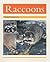 Raccoons