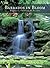 Barbados in Bloom: Tropical Gardens and Plants