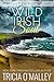 Wild Irish Soul (Mystic Cov...