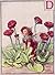 Counted Cross Stitch Patterns: "The Double Daisy Fairy" by Cicely Mary Barker: Flower Fairies (The Flower Fairy Series)