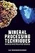 Mineral Processing Techniques Basics and Related Issues