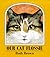 Our Cat Flossie