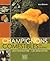 Champignons comestibles du Québec by JEAN DESPRES