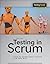 Testing in Scrum: A Guide for Software Quality Assurance in the Agile World (Rocky Nook Computing)