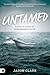Untamed: A Fool's Guide to Surrendered Faith