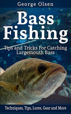 Tips and Tricks for Catching Largemouth Bass