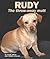 Rudy the Throwaway Mutt