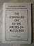 The Strangled Cry of the Writer-In-Residence