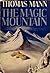 The Magic Mountain by Thomas Mann