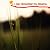 I Can Remember my Dreams by Gabriel~