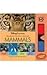 3D Wonderful World Of Animals: Mammals (3D Wonderful World Series)