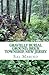 Gravelly Burial Ground, Brick Township, New Jersey (Volume 1)