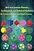 How to Construct Platonic, Archimedean and Stellated Polyhedra