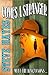Comes a Stranger (A Lawless Western Book 1)