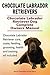 Chocolate Labrador Retrievers. Chocolate Labrador Retriever care, costs, feeding, grooming, health and training all included. Chocolate Labrador Retriever Dog Complete Owners Manual.