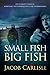 Small Fish Big Fish by P.J. McDermott