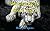 Unusual Facts About Tigers: Picture Book For Kids