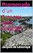 Promenade d'un Français dans l'Irlande (French Edition)