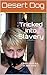 Tricked Into Slavery: A White Slave Act of 2000 Story (White Slave Act of 2000 Series Book 3)