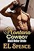 Montana Cowboy by E.L. Spence