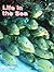 Life in the Sea (Early Science Big Books/Big Book)