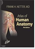 Atlas of Human Anatomy