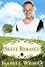 Sweet Romance (Fairfield Amish Romance Short Story Book 7)