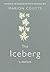The Iceberg