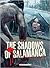 The Shadows of Salamanca (S...