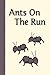 Ants On The Run (Miss Rhonda's Readers Set TWO)