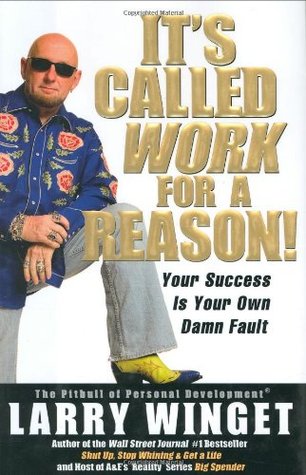 It's Called Work for a Reason!: Your Success Is Your Own Damn Fault (Hardcover)