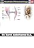 Illustrated Rheumatology