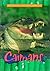 Caimans (Animals of the Rain Forest)