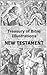 Treasury of Bible Illustrations: New Testament [80 Illustrations with Bible verses]